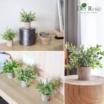 Der Rose 3 Pack Mini Potted Fake Plants Artificial Plastic Eucalyptus Plants Topiaries for Home Office Desk Farmhouse Room Bathroom Decor - Image 4