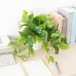 CEWOR Artificial Plants Fake Pothos with Plastic Pot Artificial Potted Plant for Home Office Bedroom Indoor Outdoor Decor 1 Pack - Image 5