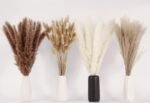 Dried Pampas Grass Decor, 100 Stems Pampas Grass Contains Bunny Tails Dried Flowers, Reed Grass Bouquet for Wedding Boho Flowers Home Table Decor, Rustic Farmhouse Party (17", White and Brown) - Image 4
