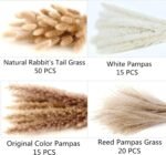 Dried Pampas Grass Decor, 100 Stems Pampas Grass Contains Bunny Tails Dried Flowers, Reed Grass Bouquet for Wedding Boho Flowers Home Table Decor, Rustic Farmhouse Party (17", White and Brown) - Image 5