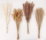 Dried Pampas Grass Decor, 100 Stems Pampas Grass Contains Bunny Tails Dried Flowers, Reed Grass Bouquet for Wedding Boho Flowers Home Table Decor, Rustic Farmhouse Party (17", White and Brown) - Image 2