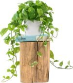 ROVALA Silk Plants for Home Decor Indoor in Pot Realistic Artificial Plants Fake Hanging Plants Faux Plants Indoor Fake Potted Plants Fake Plants for Shelves Bathroom Plants, Fake Pothos (Light Green) - Image 2