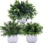 Winlyn 3 Pcs Faux Potted Plants Set - Artificial Eucalyptus, Rosemary, Boxwood Greenery in Small White Geometric Planters for Indoor Outdoor Desk Table Centerpiece Shelf Windowsill Home Office Decor - Image 2