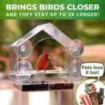 Nature Anywhere Window Bird Feeder - Transparent Acrylic Bird Feeders for Outdoors - Enhanced Suction Grip, Bird Watching for Cats, Easy-to-Clean, Outdoor Birdhouse Feeder (1 Unit) - Image 4