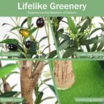 Faux Olive Tree 6FT, Artificial Potted Tree with Planter, Silk Plants Indoor Outdoor, Lifelike Olive Plants with Natural Wood Trunk, Fruits and Buds, Home Office Decor, 1 Pack - Image 3