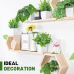 Der Rose 6 Pack Fake Plants Small Artificial Potted Plants Faux Plants for Home Office Desk Bathroom Aesthetic Farmhouse Room Decor Indoor - Image 7