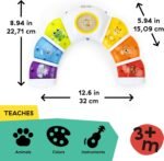 Baby Einstein Glow & Discover Light Bar Musical Toy, Activity Station, Sitting Up and Tummy Time Toy, Color and Animal Learning Toy, Infant Ages 3 Months+ - Image 3