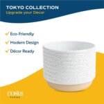 Costa Farms Live Indoor Plants in Decorative Pots, Easy to Maintain, Air Purifying Houseplants, Assorted Varieties, Room or Home Decor, House Warming Gift, 8-12 Inches Tall, Pack of 3 - Image 8