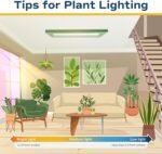 Costa Farms Live Indoor Plants in Decorative Pots, Easy to Maintain, Air Purifying Houseplants, Assorted Varieties, Room or Home Decor, House Warming Gift, 8-12 Inches Tall, Pack of 3 - Image 9