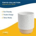 Costa Farms Money Tree Live Plant | 12-16 Inches Tall Bonsai | Easy to Grow Indoor Houseplant in Plant Pot | Home, Office, or Room Decor | Birthday, Housewarming Gift - Image 8