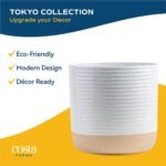 Costa Farms Money Tree Live Plant in Decorative Pot, Air Purifying, Large Indoor Houseplant, Perfect for Home, Room, or Office Decor, Great House Warming or Birthday Gift, 3-4 Feet Tall - Image 7