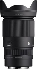 Sigma 16-300mm F3.5-6.7 DC OS | Contemporary Lens for L-Mount - Image 4