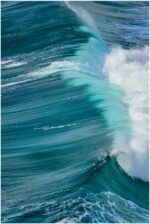 Sigma 16-300mm F3.5-6.7 DC OS | Contemporary Lens for L-Mount - Image 6