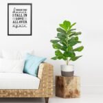BESAMENATURE Artificial Fiddle Leaf Fig Tree/Faux Ficus Lyrata for Home Office Decoration, 30.5" Tall, with Cotton Rope Basket - Image 3