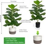 BESAMENATURE Artificial Fiddle Leaf Fig Tree/Faux Ficus Lyrata for Home Office Decoration, 30.5" Tall, with Cotton Rope Basket - Image 7