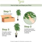 Nearly Natural 48in. Dracaena Artificial Plant with Green Real Touch Leaves - Lifelike Indoor Décor - Image 4