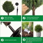24.5 Inch (H) Artificial Cedar Topiary Ball Trees, Set of 4 Fake Shrub Bushes with Ground Spike, UV Resistant Faux Cypress Greenery Decor for Outdoor Garden, Patio, Front Porch, and Indoor Use - Image 4