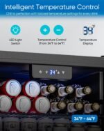 3.2 Cu.Ft Mini Fridge with Glass Door - 126 Can Beverage Refrigerator Cooler for Drink Beer Wine Soda, Small Fridge for Bedroom Office Bar Dorm, 4 Adjustable Shelves, Black - Image 4