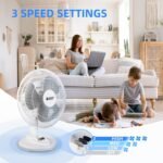 BEYOND BREEZE Oscillating Table Fan Quiet 3-Speed 12-Inch Adjustable Tilt Fan with Safety Grill, Ideal for Home, Office, Dorm - Image 4