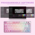 YUNZII B75 PRO Wireless Mechanical Keyboard,75% Layout with Knob,Hot Swap Gasket Custom Structure,Creamy Pre-lubed Switches,RGB Backlit,Bluetooth/Type-C/2.4G for Win/Mac(Cocoa Cream V2 Switch,Purple) - Image 7