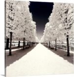 CANVAS ON DEMAND Paris Winter White Collection - Convergence Canvas Wall Art Print by Philippe Hugonnard, Home Decor, Winter, Wintry Weather Artwork,10" x10in - Image 2