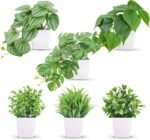 Der Rose 6 Pack Fake Plants Small Artificial Potted Plants Faux Plants for Home Office Desk Bathroom Aesthetic Farmhouse Room Decor Indoor - Image 2
