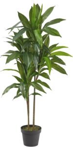 Nearly Natural 48in. Dracaena Artificial Plant with Green Real Touch Leaves - Lifelike Indoor Décor - Image 2