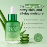 Aloe & Collagen Serum For Face - Dermatologist Tested, Anti-Aging, Ultra Hydrating Aloe Vera Gel For Face - Natural Ingredients, Clean Beauty, Cruelty-Free Korean Skin Care - 1.69 oz - Image 3