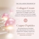 Reserveage Beauty, Firming Neck Cream with Pro-Collagen Booster, Tights, Smooths and Moisturizes with Micro-Encapsulated Copper Peptides and Measurable Results, 1.7 oz - Image 5