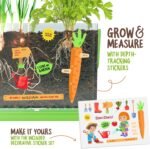 Dan&Darci Root Viewer Kit for Kids - Grow Your Own Plant for Boys & Girls Easter Gifts - Science STEM Toy & Craft Growing Kits for Ages 4-8 Birthday Gifts for Boy, Girl 4, 5, 6, 7, 8, Year Old - Image 4