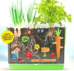 Dan&Darci Root Viewer Kit for Kids - Grow Your Own Plant for Boys & Girls Easter Gifts - Science STEM Toy & Craft Growing Kits for Ages 4-8 Birthday Gifts for Boy, Girl 4, 5, 6, 7, 8, Year Old - Image 8