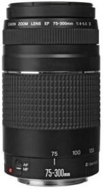 Canon EF 75-300mm f/4-5.6 III Lens with ProOptic 58mm Filter Kit - Image 2
