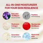 Rothea Resilience Cream, Anti-Aging with Bakuchiol 10,000ppm (Natural Retinol Alternative), Face Moisturizer, Neck Cream with Collagen, Ceramides, Peptides, Niacinamide, Korean Skin Care, 1.7 oz - Image 4