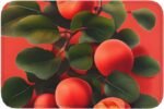 Red Apricot Doormat, Washable Entryway Doormat, 23.6 X 15.7 Inches, *Suitable for Both Indoor and Outdoor Use. - Image 9