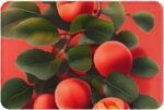 Red Apricot Doormat, Washable Entryway Doormat, 23.6 X 15.7 Inches, *Suitable for Both Indoor and Outdoor Use. - Image 2
